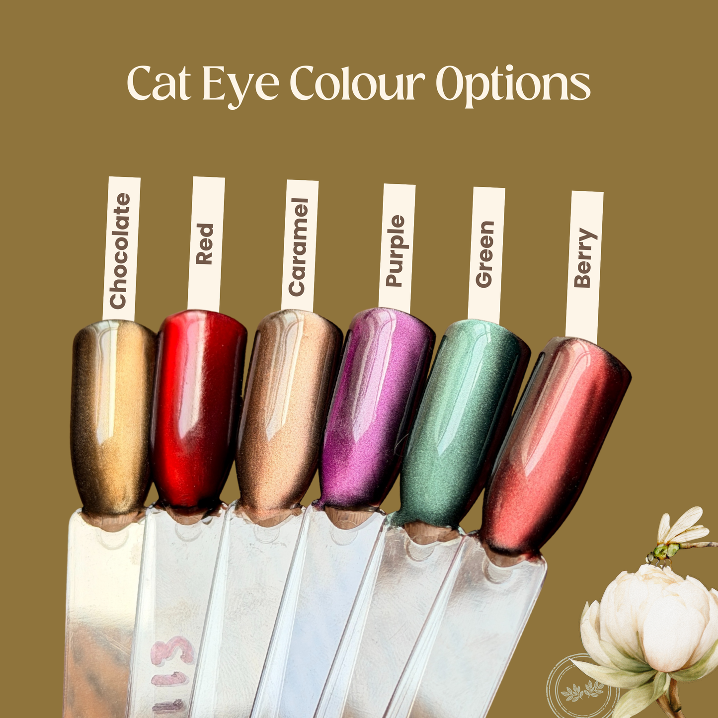 Cat Eye Set [Tier 2]